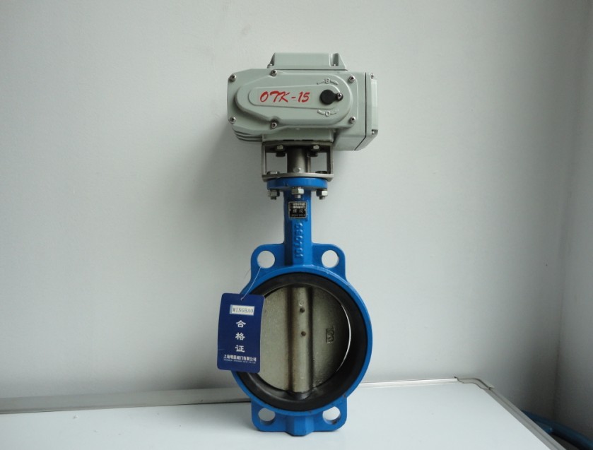電動(dòng)對(duì)夾式蝶閥圖片/電動(dòng)對(duì)夾式蝶閥樣板圖 (2)