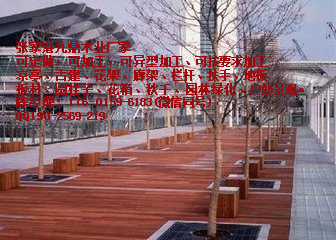 澳洲紅木圖片/澳洲紅木樣板圖 (1)