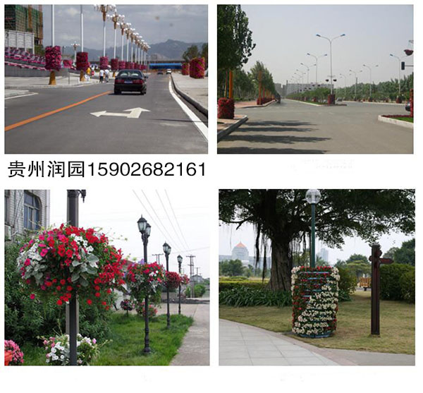 護欄綠化圖片/護欄綠化樣板圖 (4)