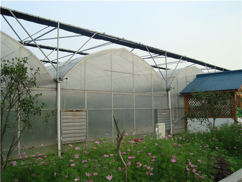 不同結(jié)構(gòu)溫室大棚使用功能不同圖片/不同結(jié)構(gòu)溫室大棚使用功能不同樣板圖 (3)