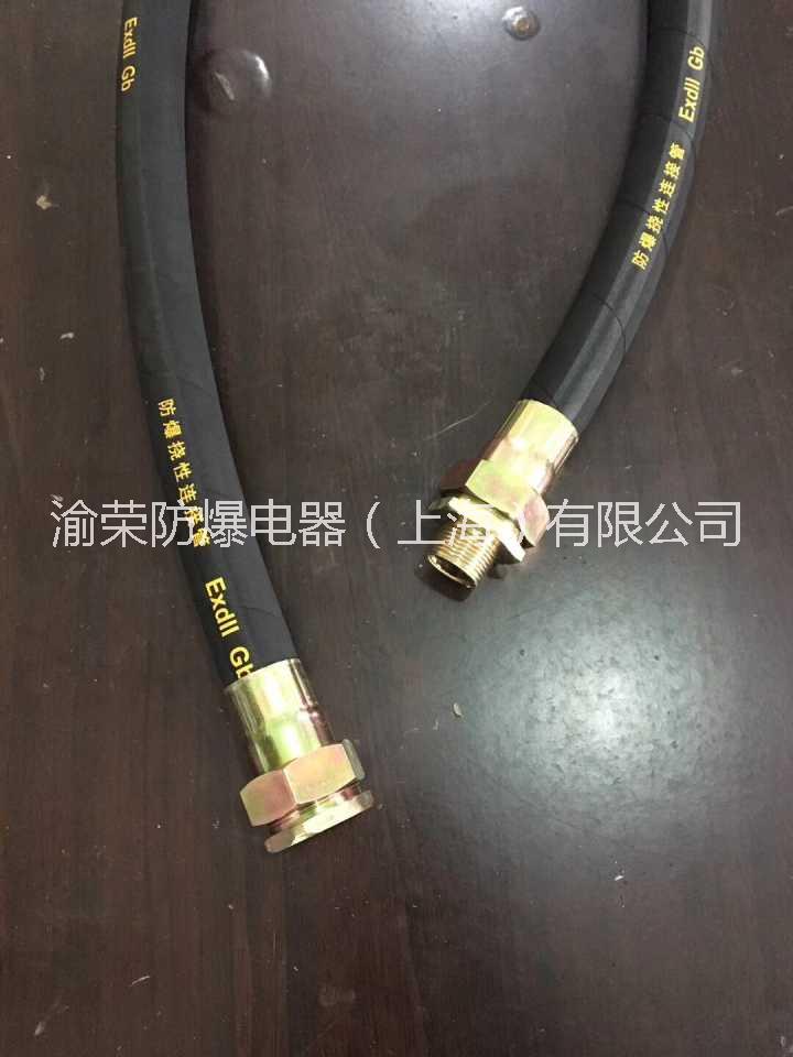 上海渝榮BNG系列粉塵防爆撓性管特價(jià)圖片