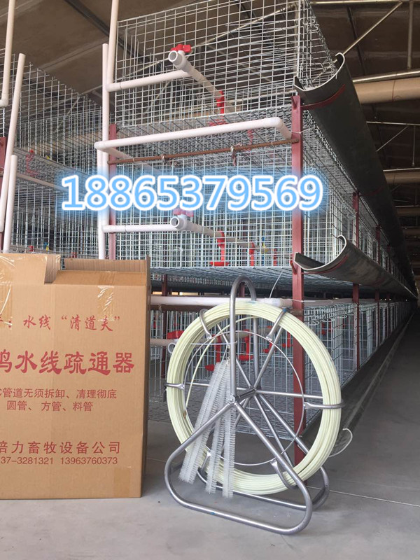 鴨舍圖片/鴨舍樣板圖 (1)