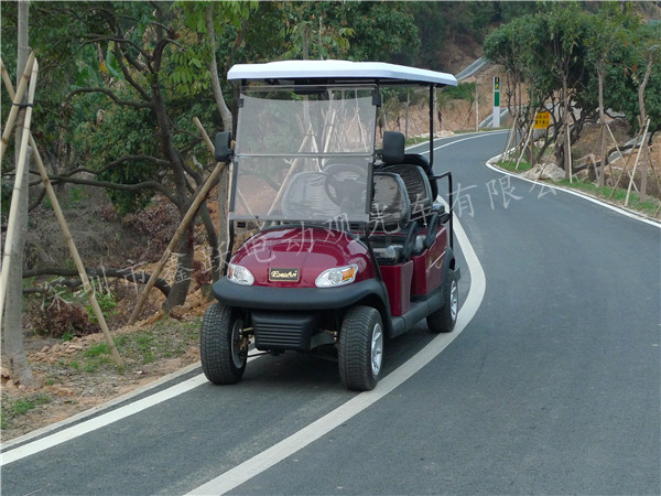 電動(dòng)高爾夫球車圖片/電動(dòng)高爾夫球車樣板圖 (2)