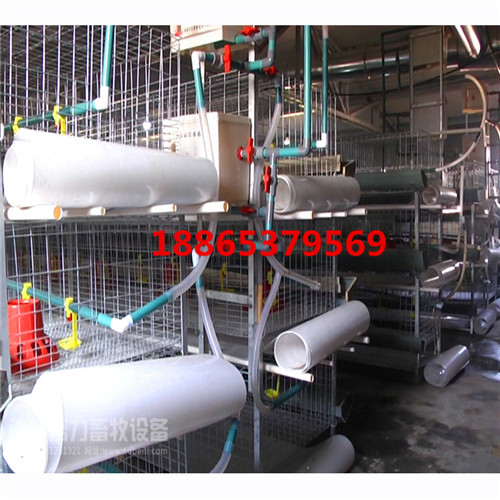 三層清糞帶鴿舍PP鴿糞帶圖片