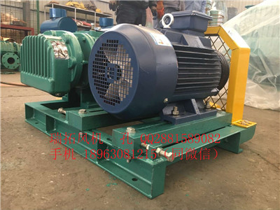 污水曝氣鼓風(fēng)機(jī)圖片/污水曝氣鼓風(fēng)機(jī)樣板圖 (3)