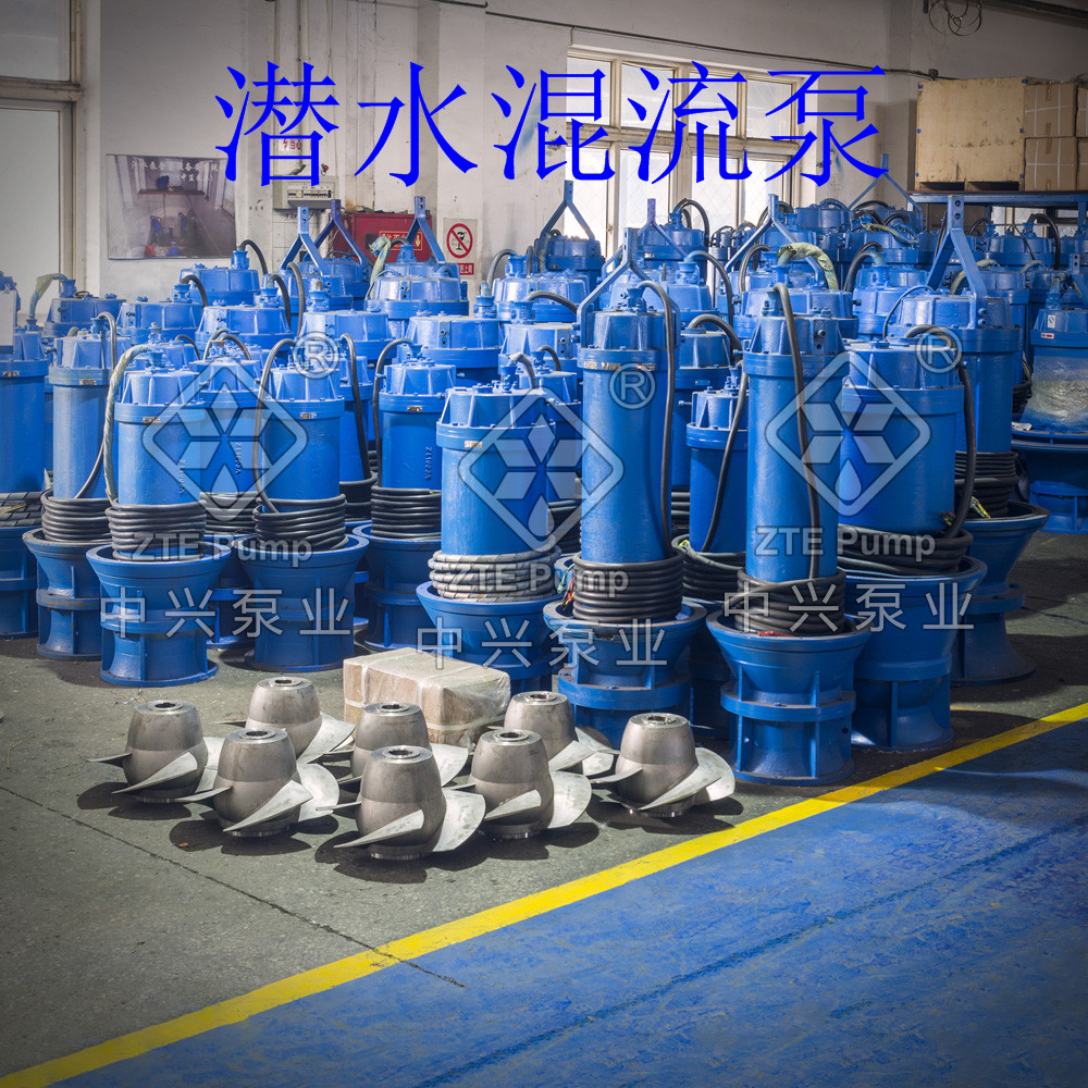 潛水軸流泵圖片/潛水軸流泵樣板圖 (1)