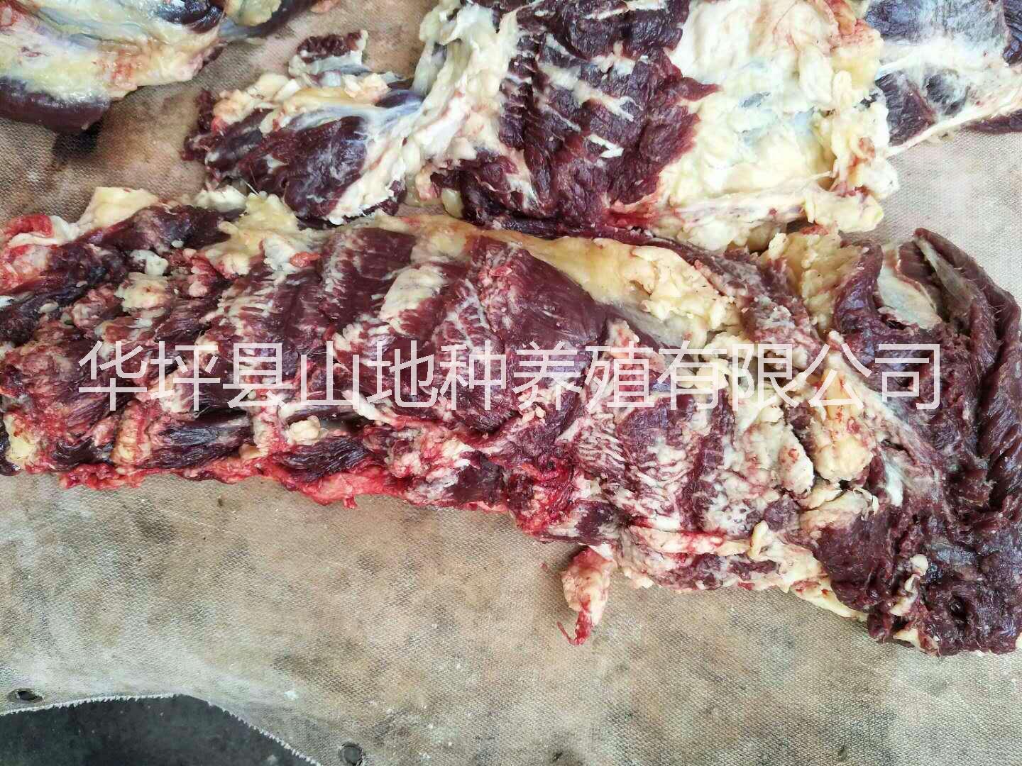 云南生态小黄牛肉      丽江小黄牛肉供应      小黄牛肉批发价格图片