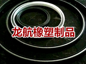 機(jī)械密封圈圖片/機(jī)械密封圈樣板圖 (2)