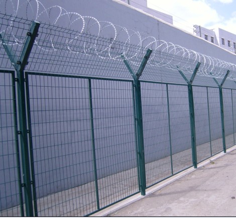 刀片刺網(wǎng)圖片/刀片刺網(wǎng)樣板圖 (2)