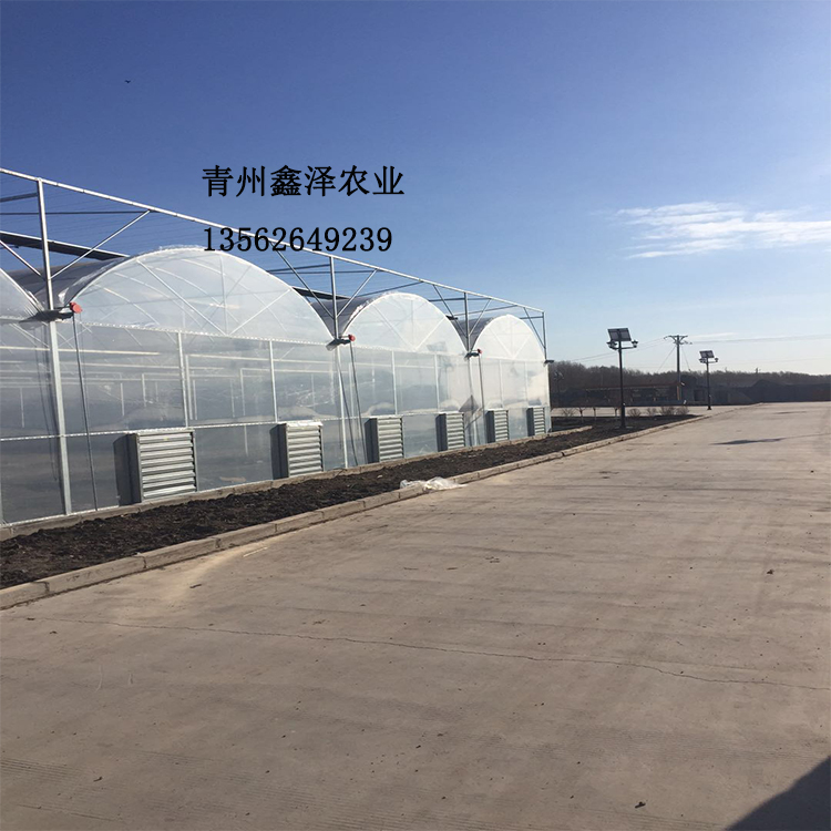 新型薄膜塑料蔬菜温室大棚建造、薄膜塑料温室建造价格、优质蔬菜大棚图片