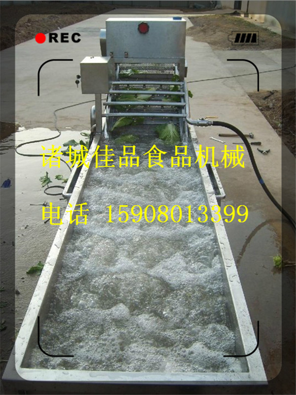 品質(zhì)大姜清洗機(jī) 小黃姜清洗線 鮮姜清洗設(shè)備廠家直銷佳品食品機(jī)械