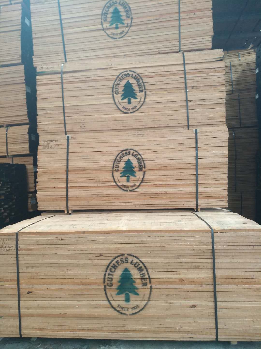 美國櫻桃木圖片/美國櫻桃木樣板圖 (4)