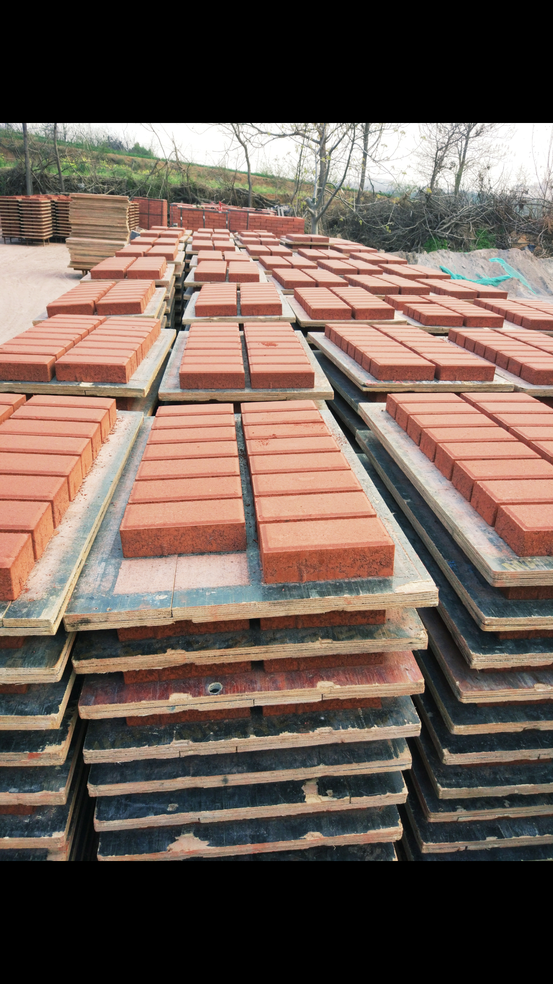 透水磚圖片/透水磚樣板圖 (1)