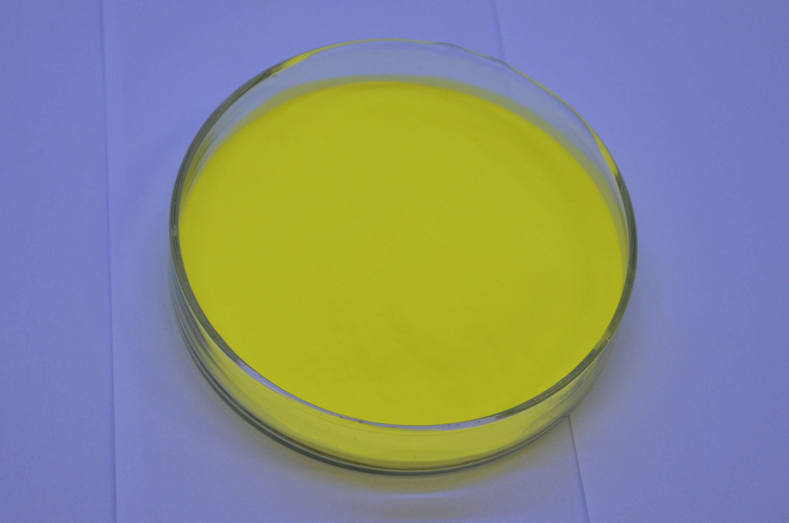 LED熒光粉圖片/LED熒光粉樣板圖 (2)