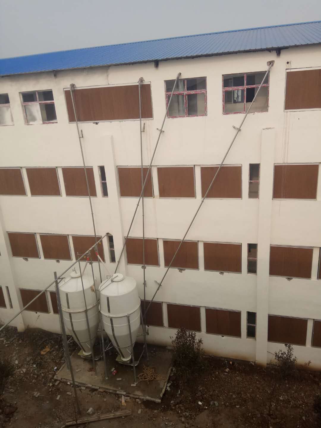 豬場(chǎng)圖片/豬場(chǎng)樣板圖 (4)