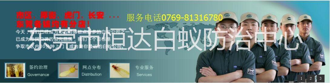 滅白蟻圖片/滅白蟻樣板圖 (4)