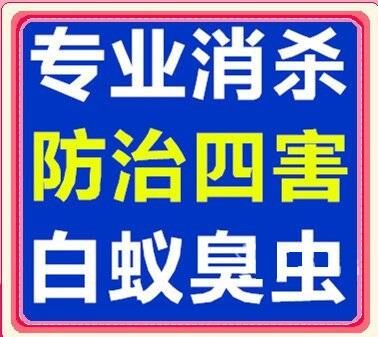 东莞新房装修预防白蚁