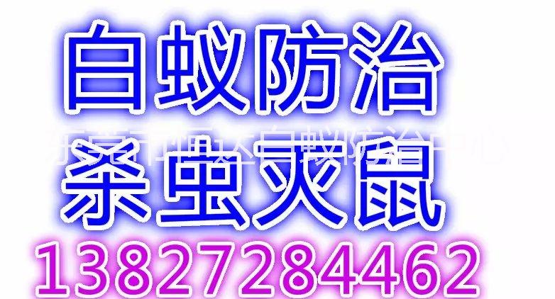 东莞市东莞白蚁防治恒达专业白蚁害虫防厂家