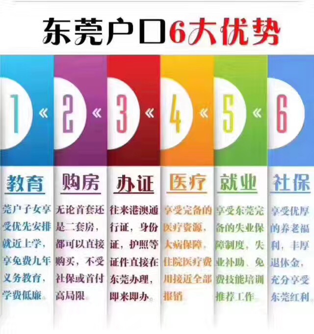 東莞*辦理流程細則