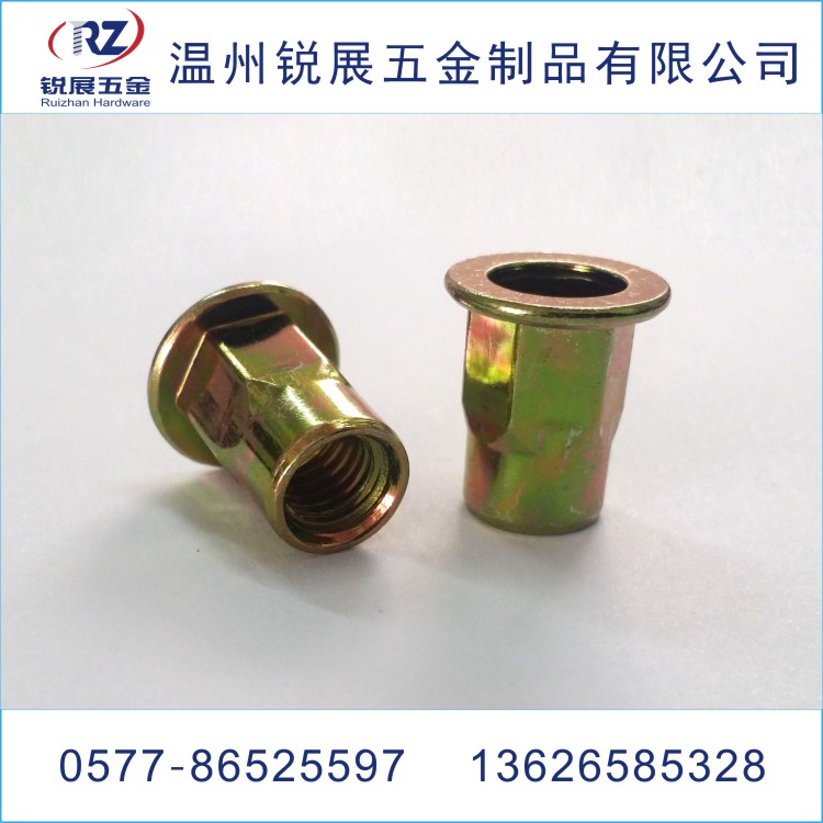 拉鉚螺母圖片/拉鉚螺母樣板圖 (3)