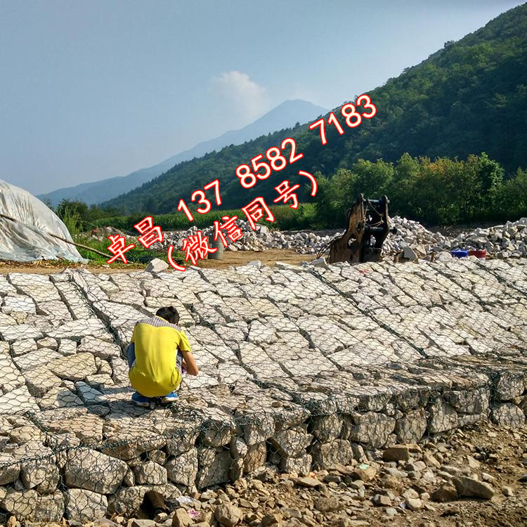 固腳綠濱墊 賓格石籠護(hù)坡 固濱籠圖片