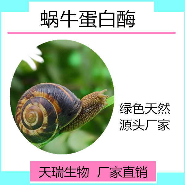 蜗牛蛋白