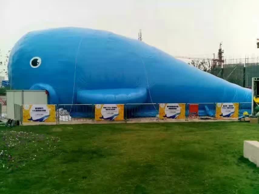 鯨魚島圖片/鯨魚島樣板圖 (3)