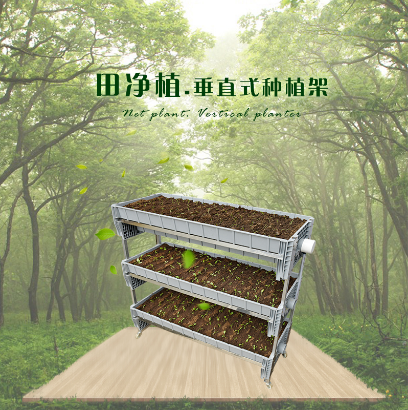 蔬菜架  蔬菜种植架  广州有机蔬菜架种植厂家 蔬菜架厂家批发 有机蔬菜架功能图片