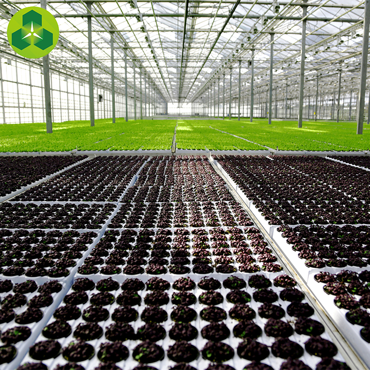 育苗育苗溫室 育苗大棚 育苗棚大棚 育苗棚
