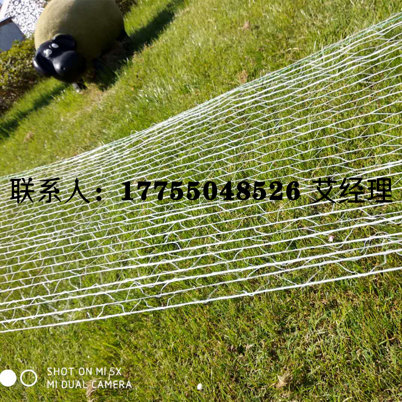 打捆網(wǎng)打包網(wǎng)捆草網(wǎng)圖片/打捆網(wǎng)打包網(wǎng)捆草網(wǎng)樣板圖 (3)