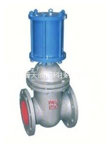 Z741H液動(dòng)閘閥圖片