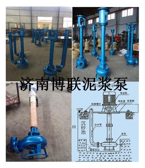 立式泥沙泵圖片/立式泥沙泵樣板圖 (4)