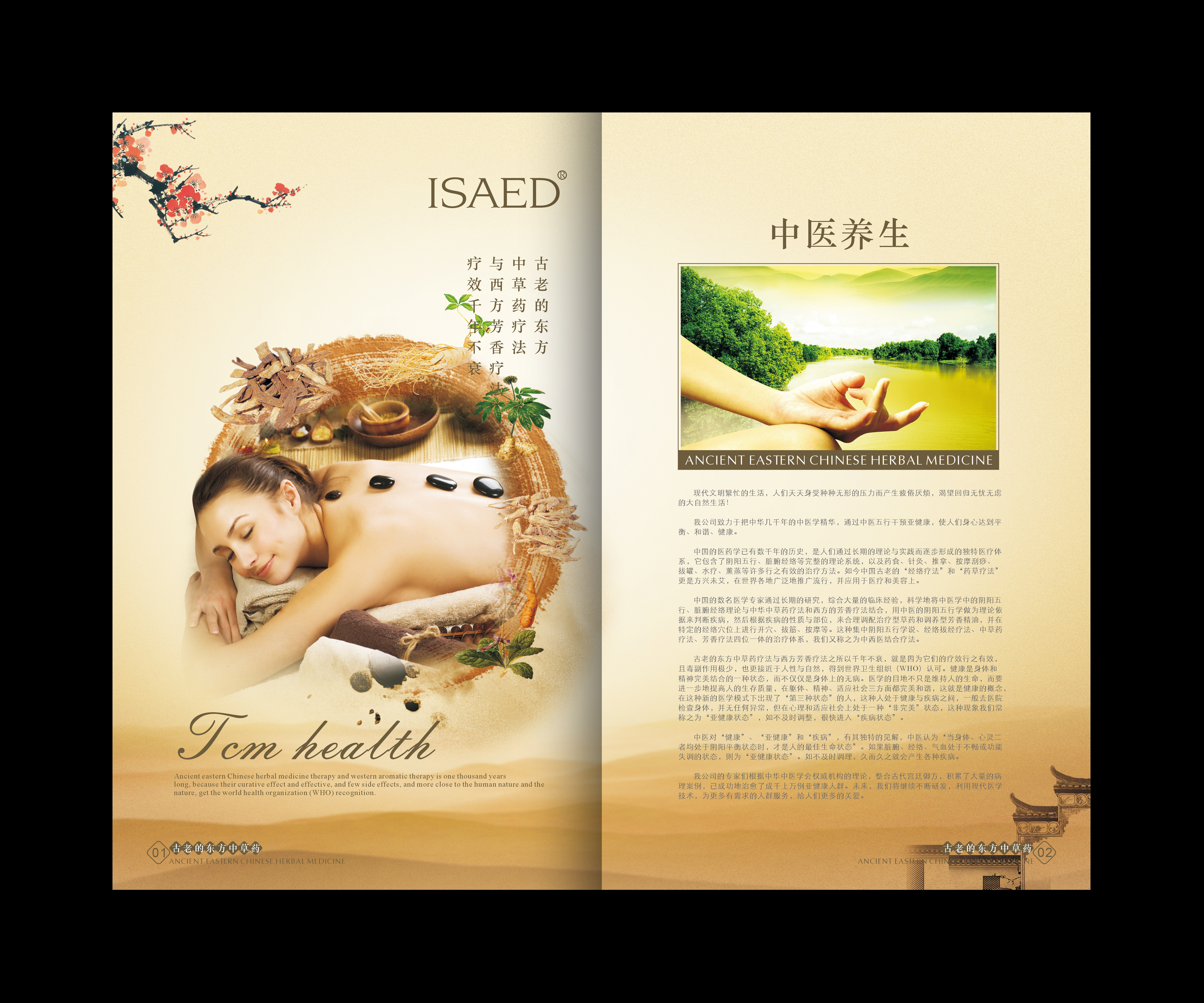 產(chǎn)品手冊設(shè)計圖片/產(chǎn)品手冊設(shè)計樣板圖 (2)