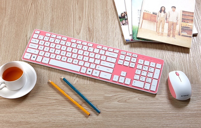 B.FRIENDit壁虎忍者無線鍵鼠套裝RF1430 鼠標鍵盤套裝無線