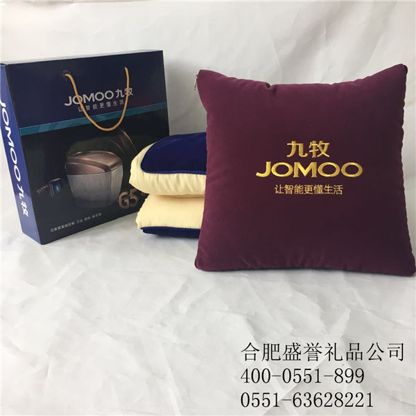 合肥抱枕圖片/合肥抱枕樣板圖 (1)