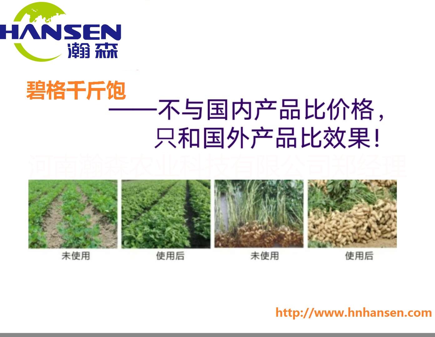花生三遍藥圖片/花生三遍藥樣板圖 (3)