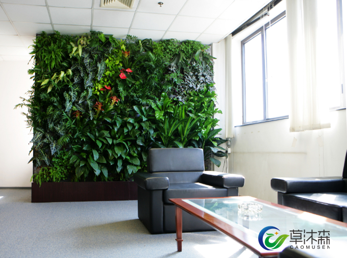 西安草沐森綠植墻 屋頂綠化圖片