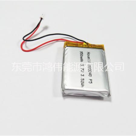 聚合物鋰電池圖片/聚合物鋰電池樣板圖 (2)
