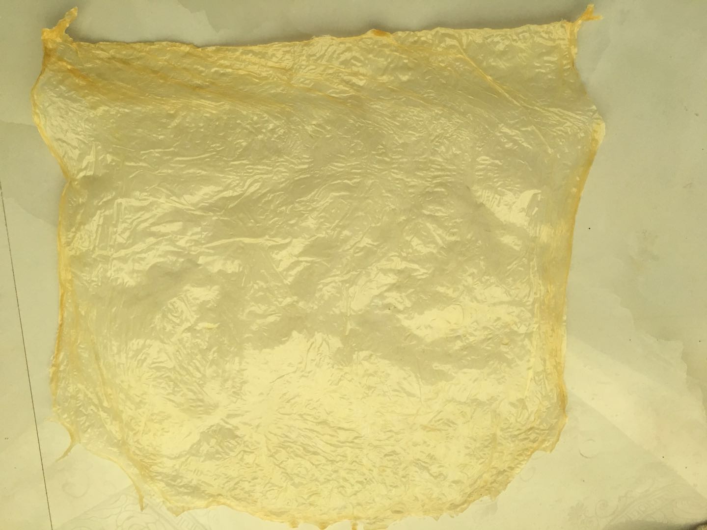 豆皮圖片/豆皮樣板圖 (3)