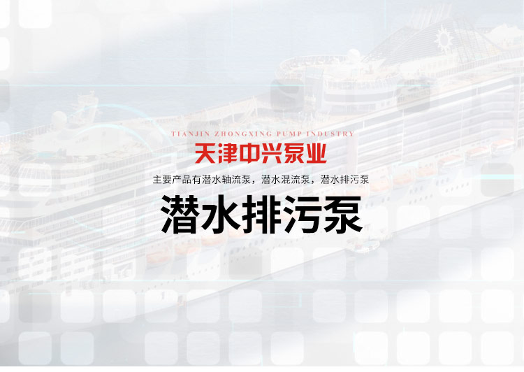 潛污泵廠家水泵廠圖片/潛污泵廠家水泵廠樣板圖 (2)