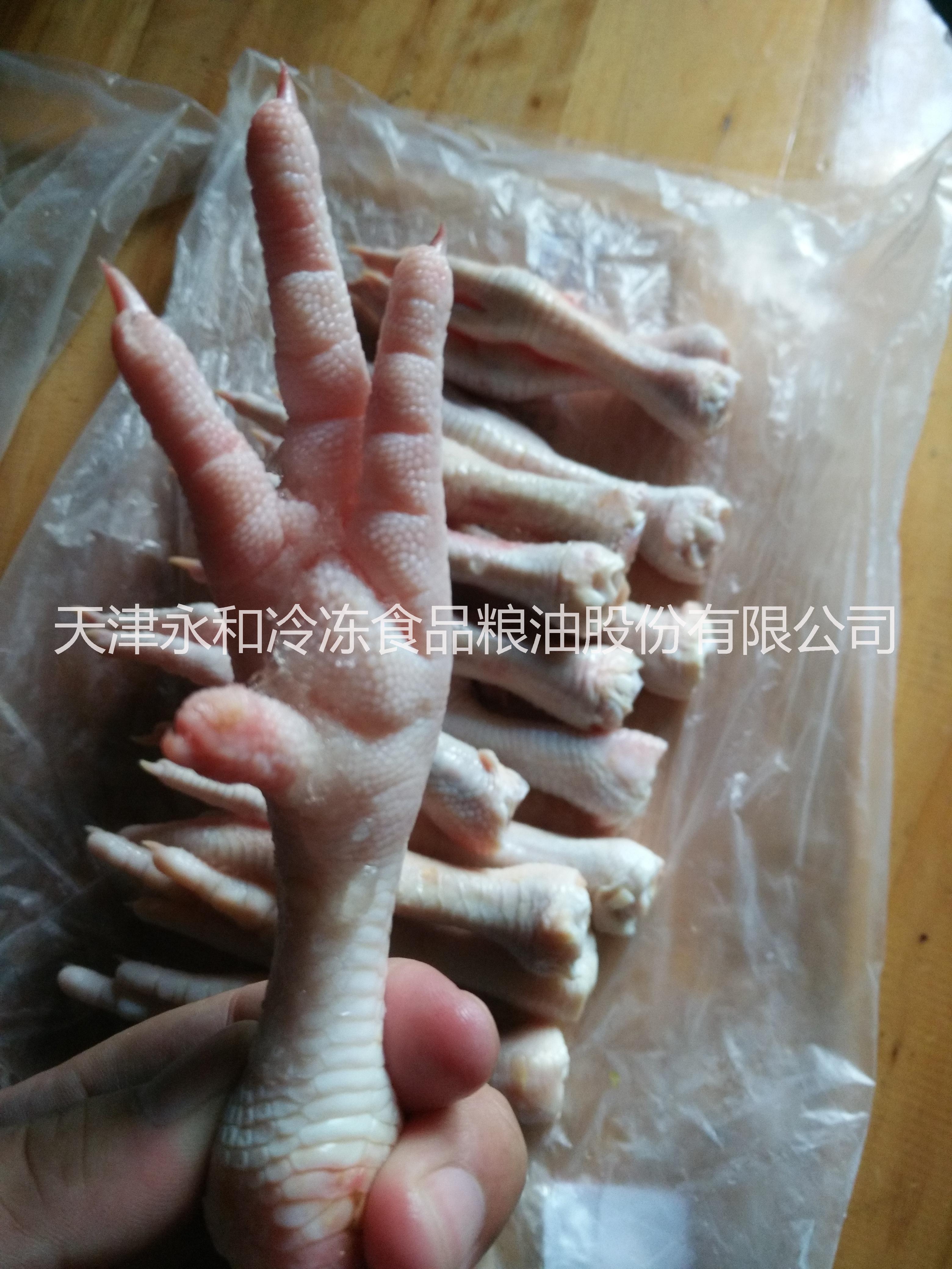 冷凍雞頭圖片/冷凍雞頭樣板圖 (2)