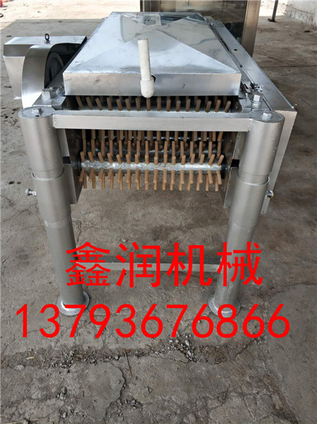 不銹鋼鴿子脫毛機(jī)圖片/不銹鋼鴿子脫毛機(jī)樣板圖 (3)