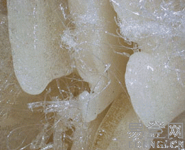 ABS.PP.PAS.PC塑膠圖片/ABS.PP.PAS.PC塑膠樣板圖 (1)