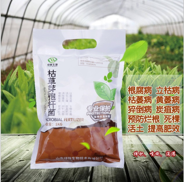 供应绿陇生物球孢白僵菌微生物杀虫剂图片