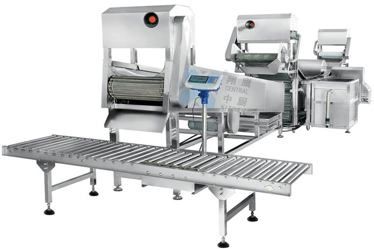 大型連續(xù)式葉菜類清洗線、洗菜機、自動清洗機、大型洗菜線、廚房設(shè)備、果蔬清洗機