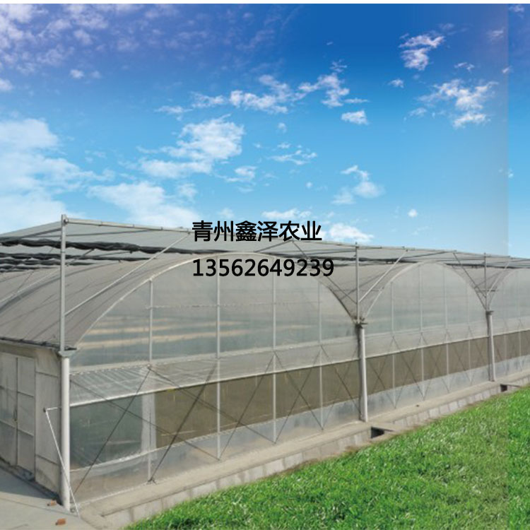 專業(yè)生產(chǎn)溫室骨架 無土栽培*溫室 無土栽培*溫室 無土栽培大棚 草莓種植大棚 草莓種植溫室大棚