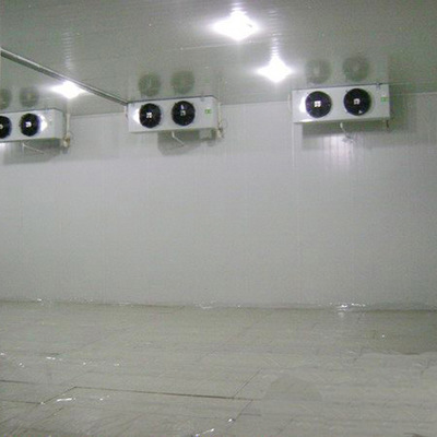 廣州醫(yī)藥冷庫廠廣騰冷庫安裝 醫(yī)藥冷庫價(jià)格
