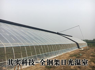 全鋼架日光溫室