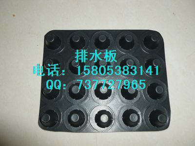 肇慶排水板圖片/肇慶排水板樣板圖 (2)