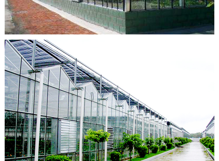 玻璃溫室圖片/玻璃溫室樣板圖 (1)
